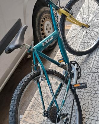 bicicletta 