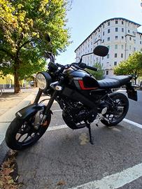 Yamaha XSR 125 - Moto e Scooter In vendita a Lucca