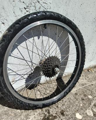 Ruota posteriore 20 pollici