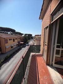5 LOCALI A ROMA