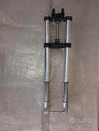 forcella anteriore completa aprilia Pegaso 650