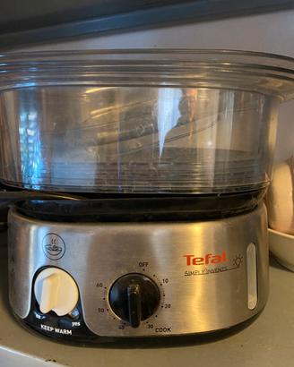 vaporiera tefal