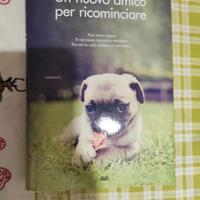 libro stupendo 