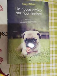 libro stupendo 