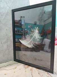 Stampa "piuma" Ikea in cornice e plexiglass 