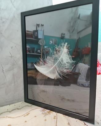 Stampa "piuma" Ikea in cornice e plexiglass 