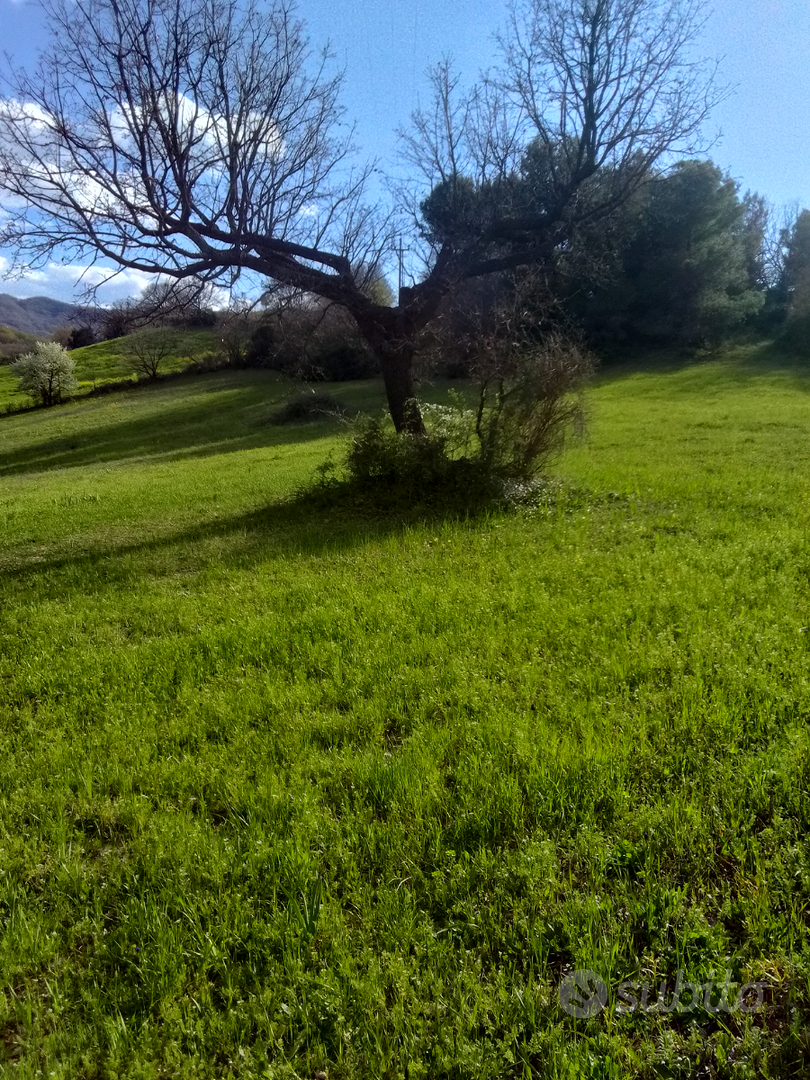 Terreni seminativi e boschivi - Vista 3