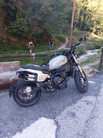 benelli leoncino 800 trail