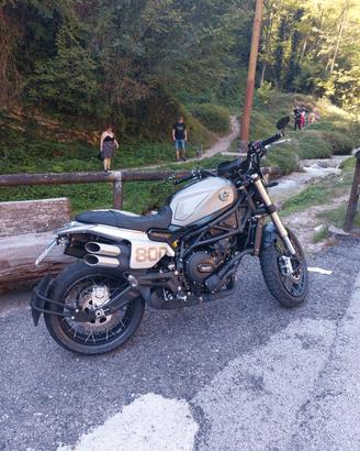 benelli leoncino 800 trail