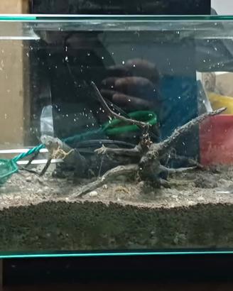 acquario fluval edge  