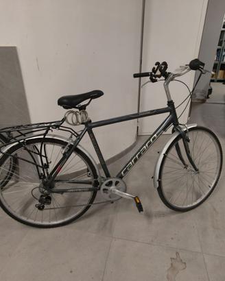 Bici carrera