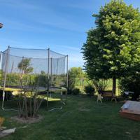 Trampolino elastico