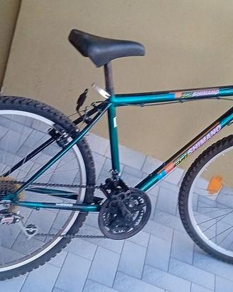 Bicicletta Shimano