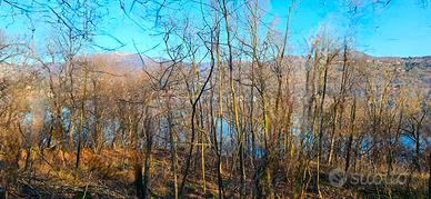 Terreno lago d'Orta
