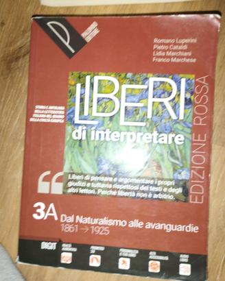 Liberi di interpretare 3a e 3b