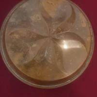 forma di rame da appentere  al  muro 