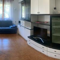 Appartamento bilocale