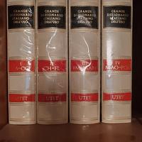 grande dizionario italiano dell'uso UTET