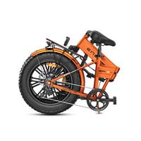 Bicicletta Elettrica 750 watt 48 v