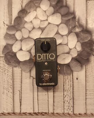 Ditto Looper (TC Electronics)