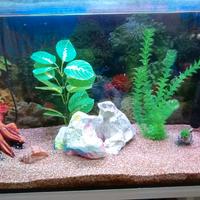 Acquario 70L. bianco 