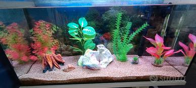 Acquario 70L. bianco 