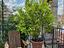Immagine 26