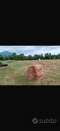  movendo fieno 