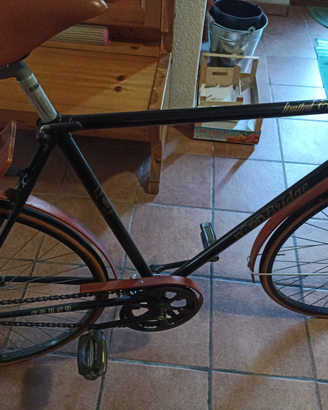 Ciclo 28