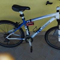 Bike Specializated hard rock