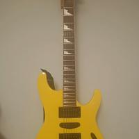 Ibanez Frank gambale signature FMG 300