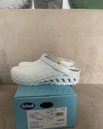 Zoccoli Scholl numero 39/40