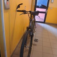 bicicletta uomo