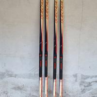 Sci fondo passo alternato