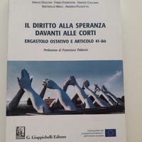 Il diritto alla speranza davanti alle corti