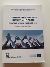 Il diritto alla speranza davanti alle corti