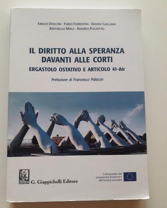 Il diritto alla speranza davanti alle corti