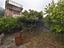 Immagine 25
