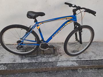 bicicletta 