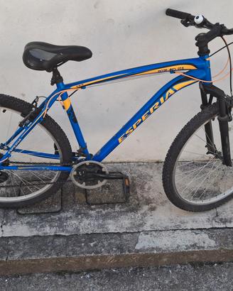 bicicletta 