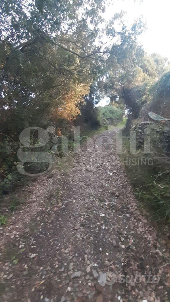 San Basilio, terreno agricolo di 3270 mq - Vista 5