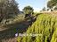 Immagine 19