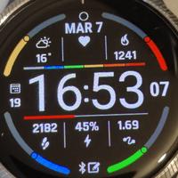 Smartwatch Garmin Venu