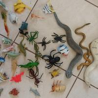 Animali : dinosauri, savana, insetti, marini