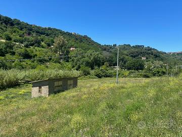 Terreno agricola con rustico