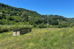 Terreno agricola con rustico