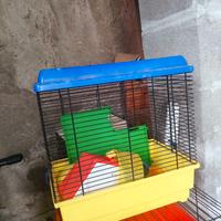 Gabbietta per criceti