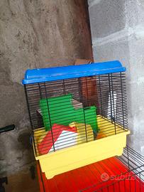 Gabbietta per criceti