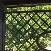 gazebo in legno