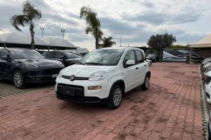 Fiat Panda 1.0 FireFly S&S Hybrid (IVA DEDUCIBILE)